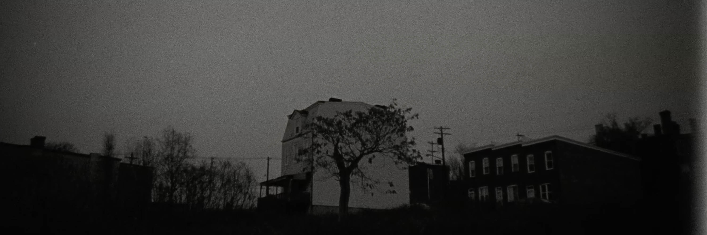 Landscape, with lone white house in the middle of the view, a leafless tree grows in front of the house