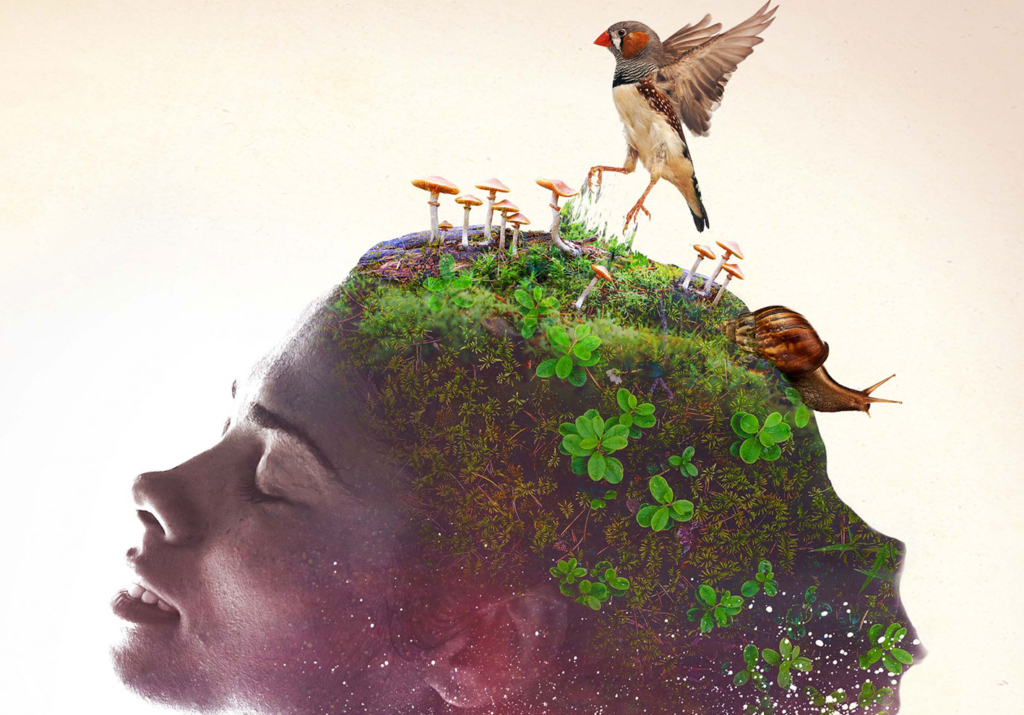 Promotional image for Bricolage theater company's production of Dodo, an immersive play, at Carnegie Museums of Art and Natural History. The image depicts a woman's face with birds, plants, and other creatures living on her head.