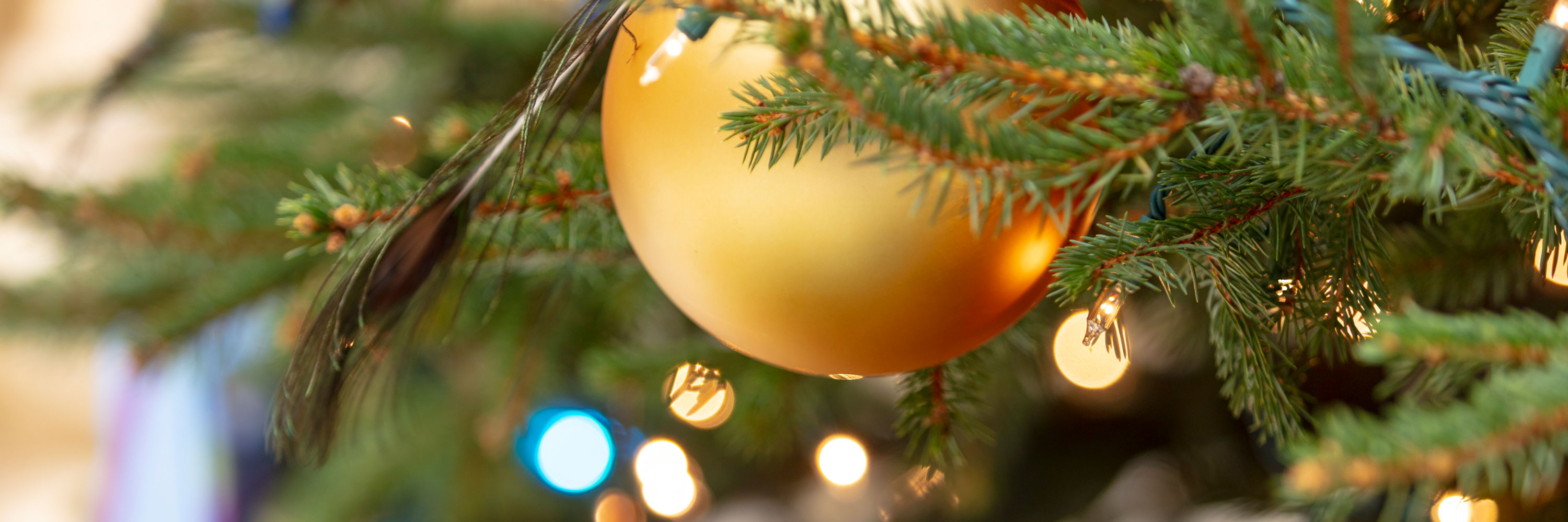 A close-up of ornaments and lights on an evergreen tree.