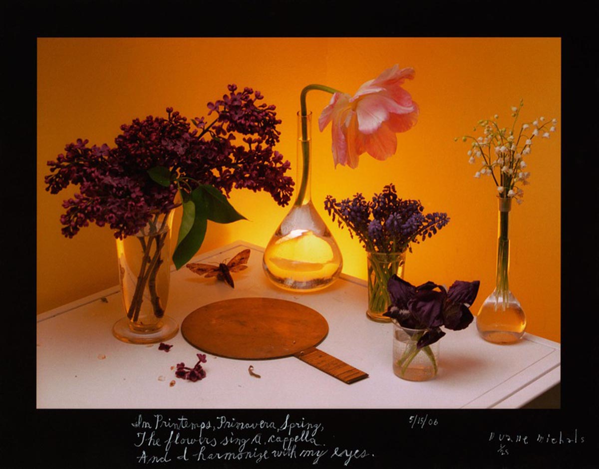 A photograph featuring a paper fan sitting on a table surrounded by irises in vases. Yellow light from an a bulb under the table illuminates the items on the table. Text handwritten on the border of the image reads I'm Printemps, Primovera, Spring, The flowers sing a cappella. And I harmonize with my eyes. The photograph is dated May 15 2006