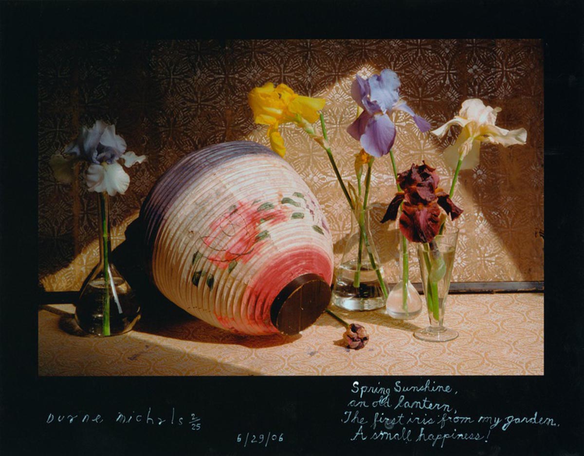 A photograph featuring a paper lantern sitting on a table surrounded by irises in vases. Light from an unseen window illuminates the items on the table. Text handwritten on the border of the image reads Spring sunshine, an old lantern, the first iris from my garden, a small happiness!