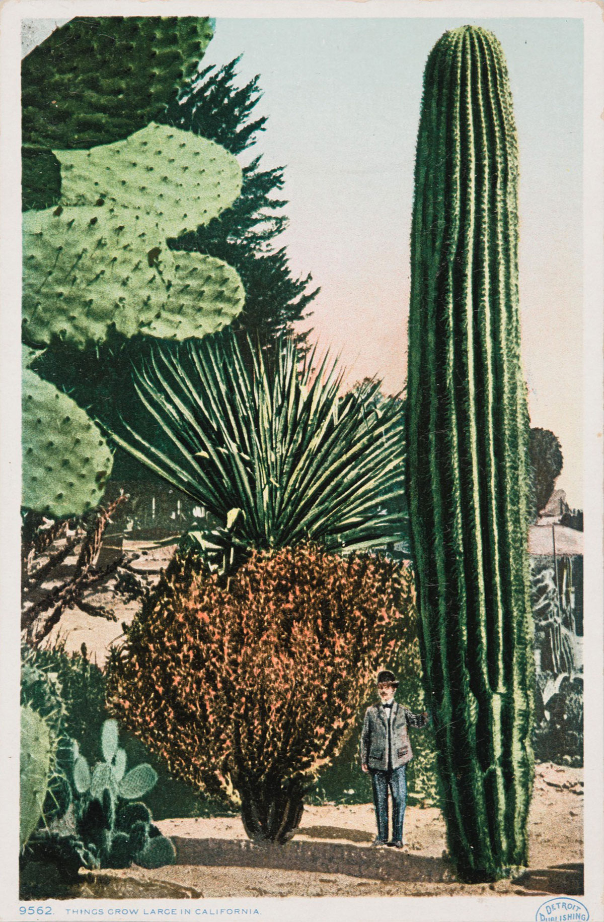 A man wearing a grey suit and bowler hat stands among enormous cacti and desert plants set against a pastel sky