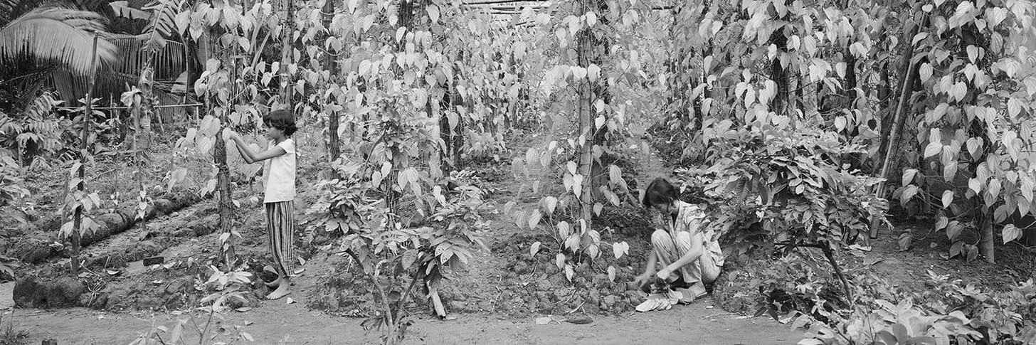 Two people are farming in a black and white photo