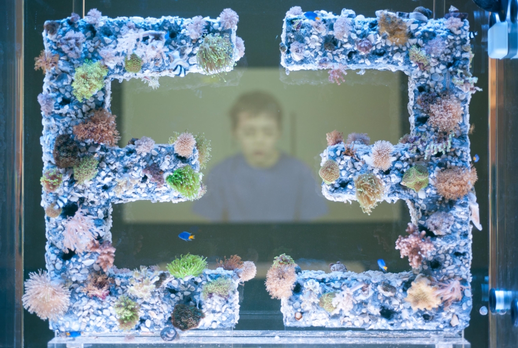 Two iterations of the letter “e,” each covered with coral are mirroring each other in a fish tank and through the tank you can see a screen with an adolescent pictured sitting and looking down