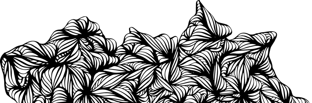 An intricate, abstract black and white drawing