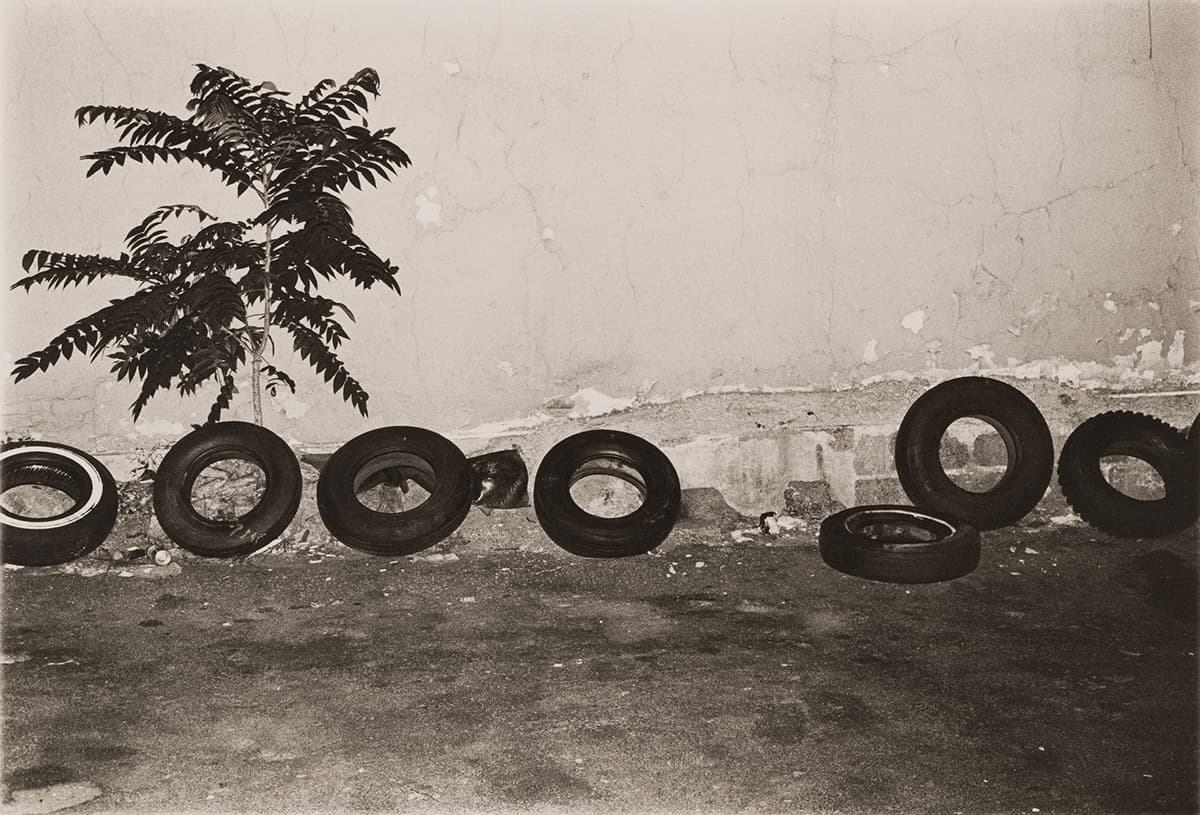 A black and white photo of a row of seven car tires resting against a wall covered in cracks and chipping paint with a palm tree in the background