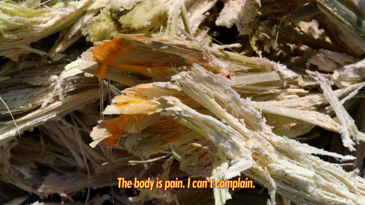 Video still with close up detail of a Durian fruit with its fibers pulled apart and a caption that reads "The body is pain. I can't complain."