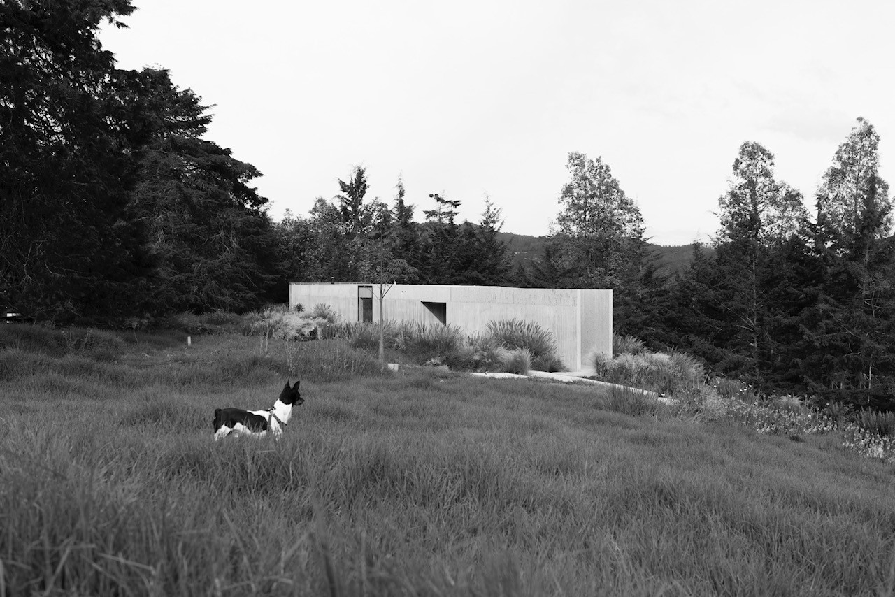 Black and white photograph of a house in a field.