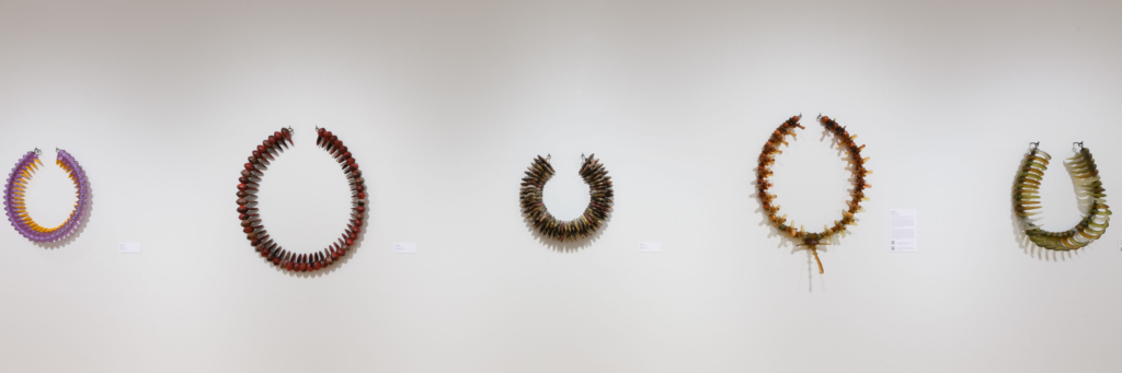 Objects on a wall featuring animal teeth made into art by Sharif Bey