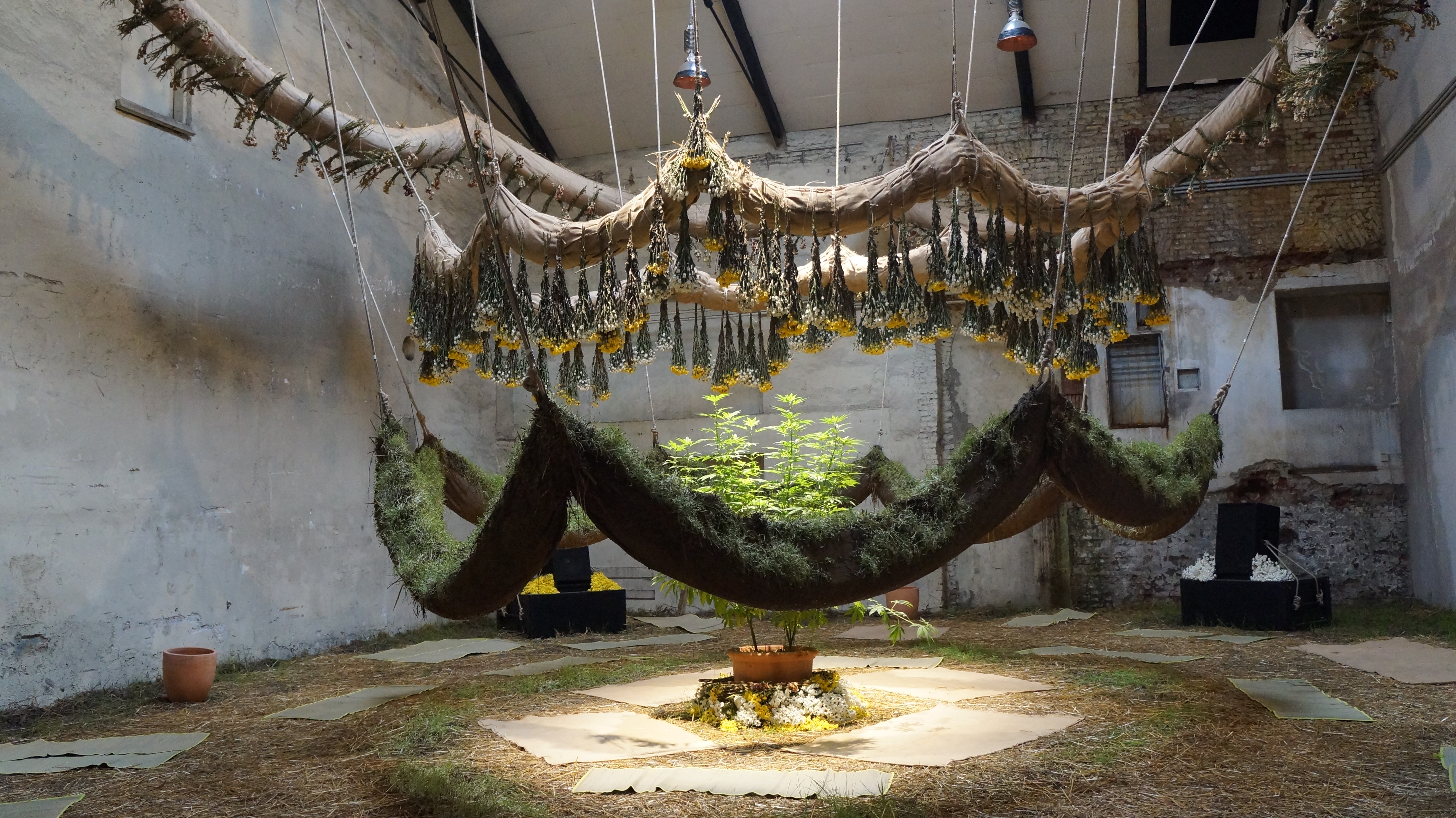 a large suspended garden Daniel Lie, Death Center for the Living