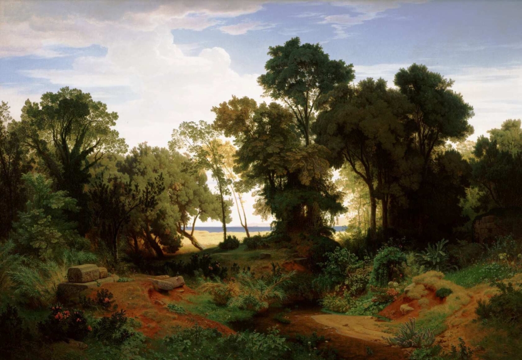 A landscape with trees captured at sunset