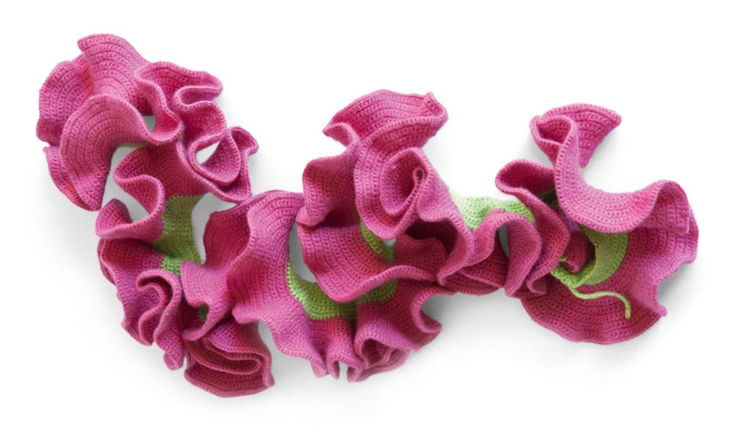 An example of hyperbolic geometry used for crocheted coral reefs. From the Crochet Coral Reef project by Margaret and Christine Wertheim and the Institute For Figuring. Credit: IFF