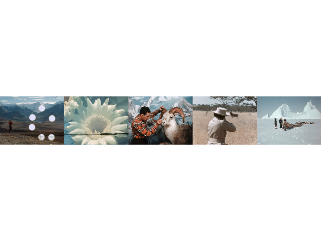 five images in a horizontal sequence replicating a film strip by Amie Siegel