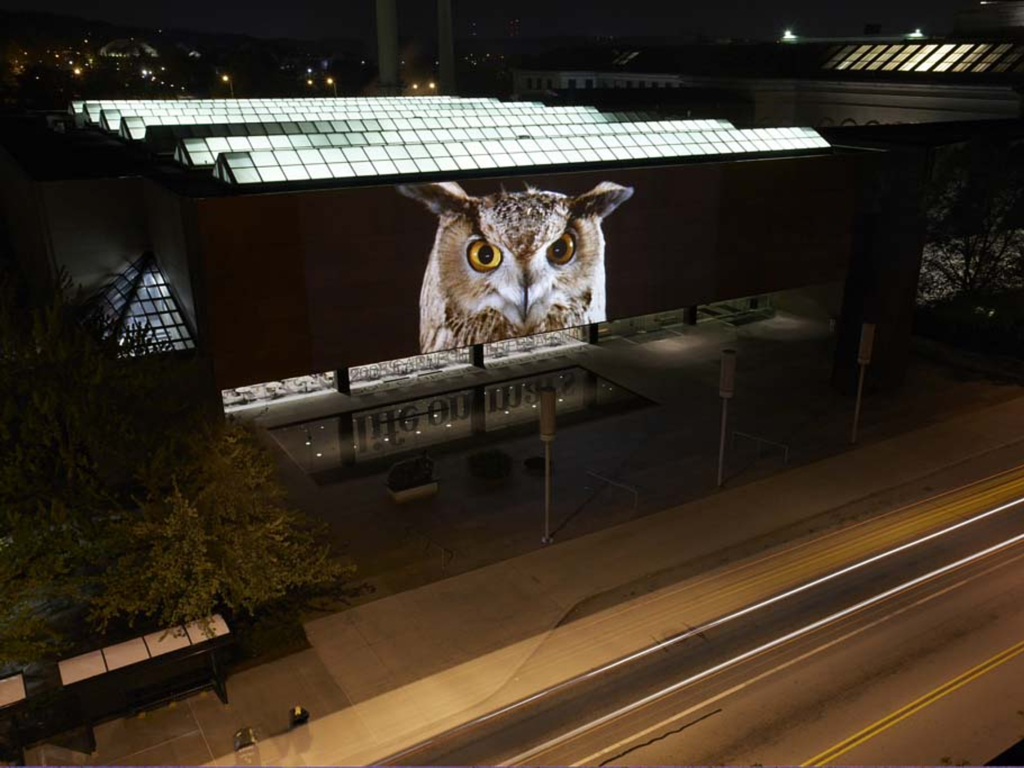 Carnegie International 2008 View of Doug Aiken's feature that displays an owl projected on the front of the entrance of the Carnegie Museum of Art