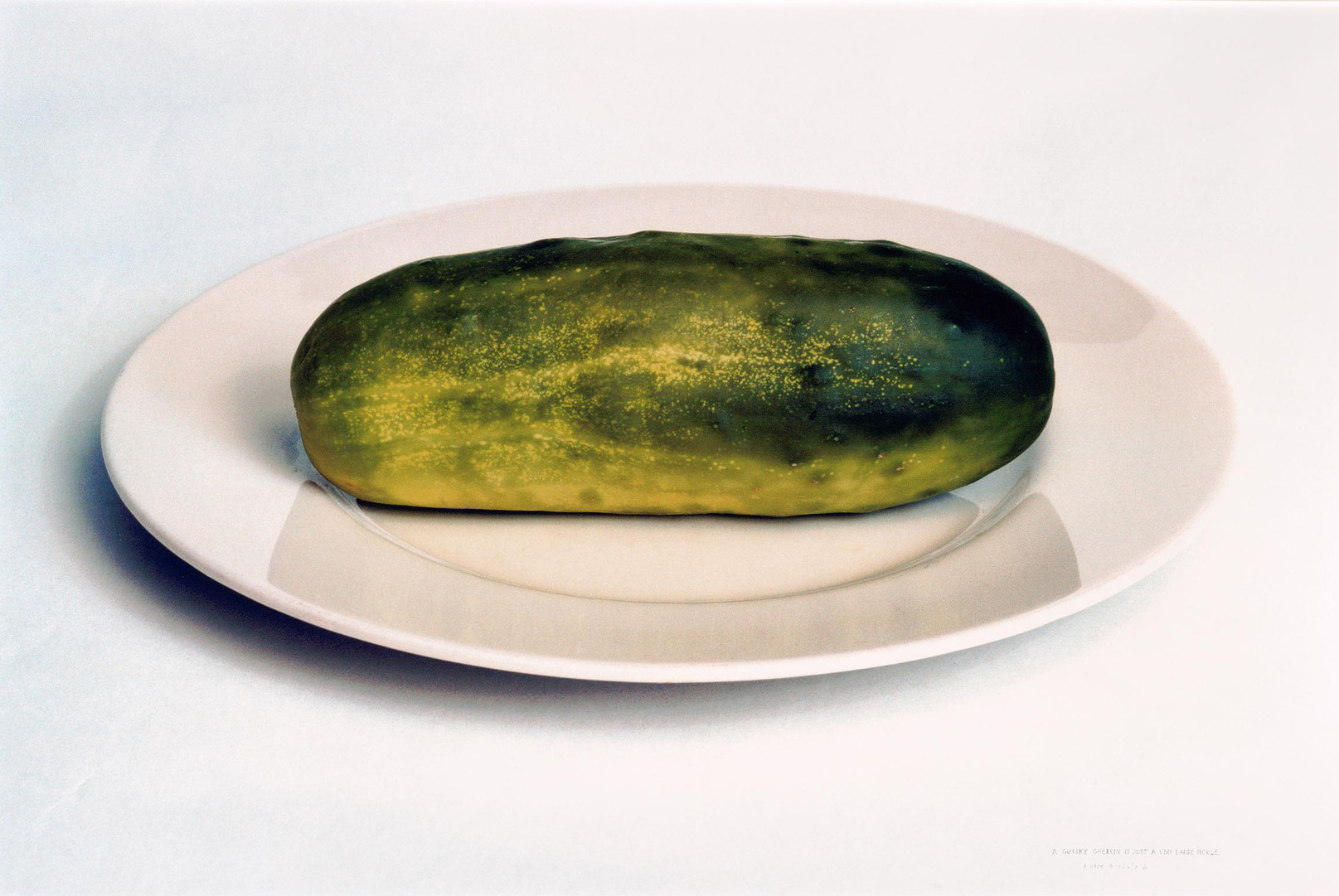 A photo of a large pickle sitting on a white plate against a white background