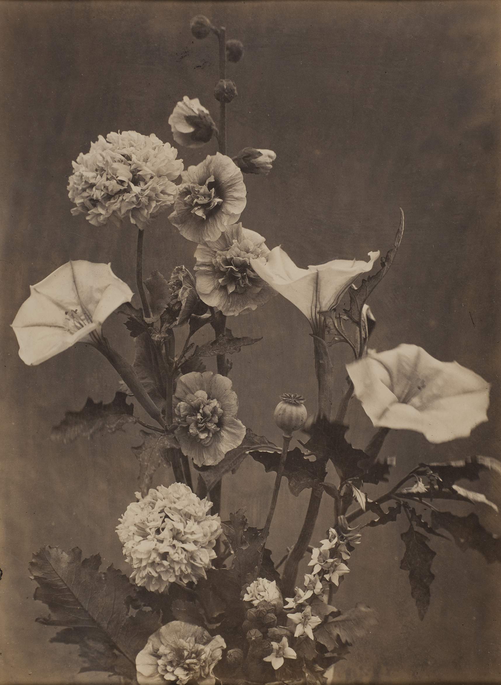 Photo depicting flower bouquet