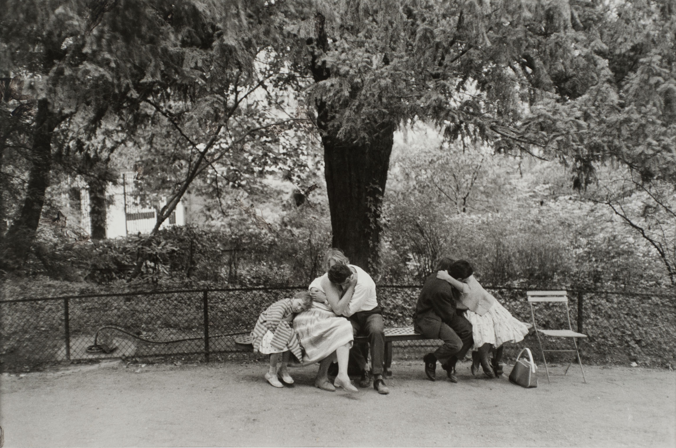 Photo of two couples embracing while sitting on a bench under a tree