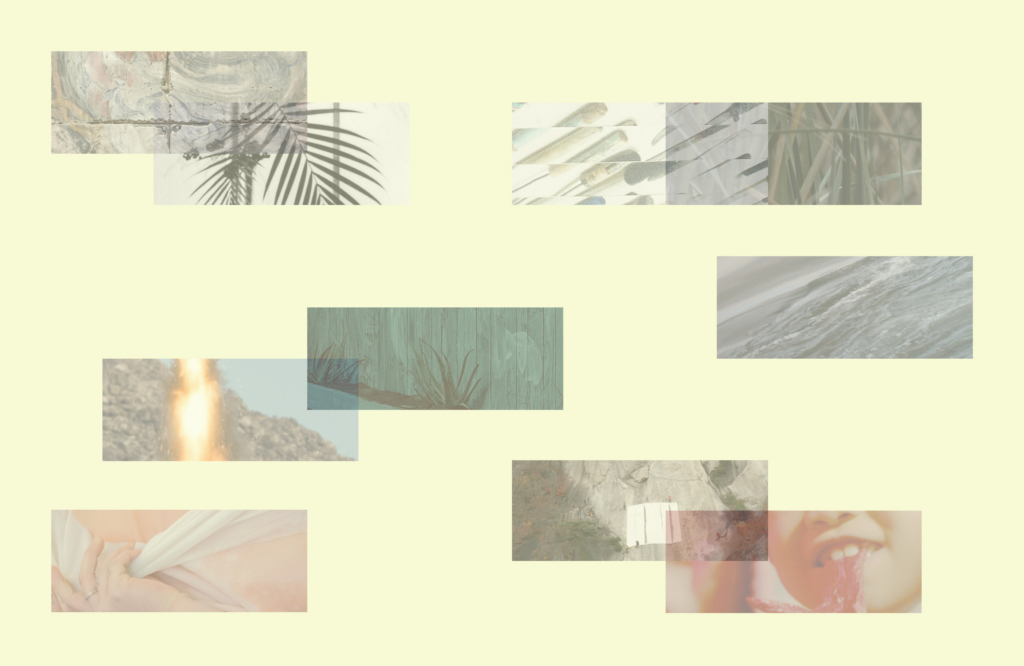 collage of film stills