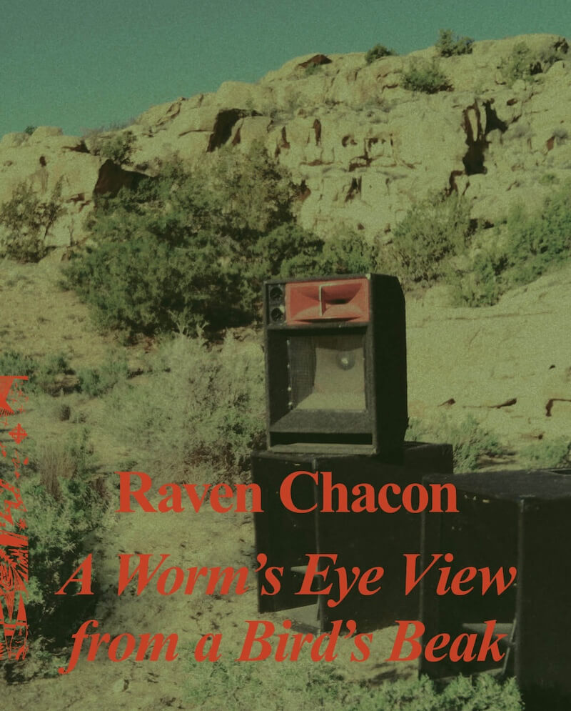 Raven Chacon still part of widening the lens that says A worms eye view from a birds beak