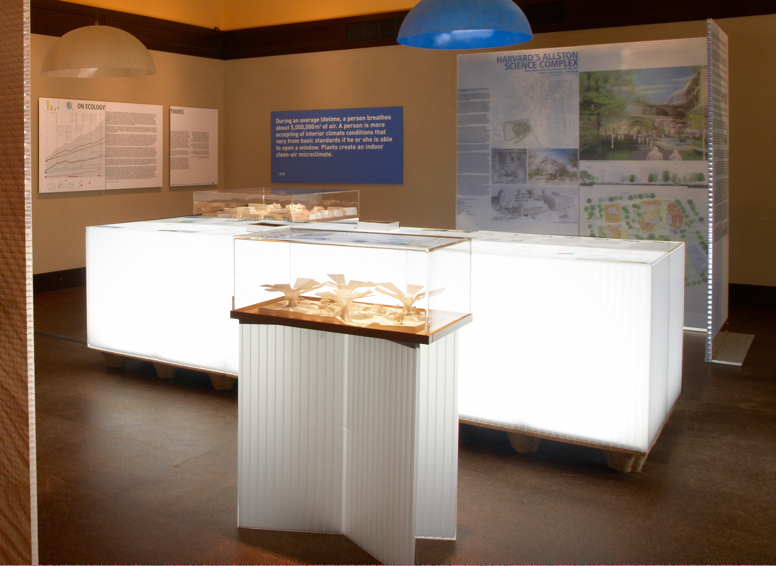 installation view of ecology, design, and synergy