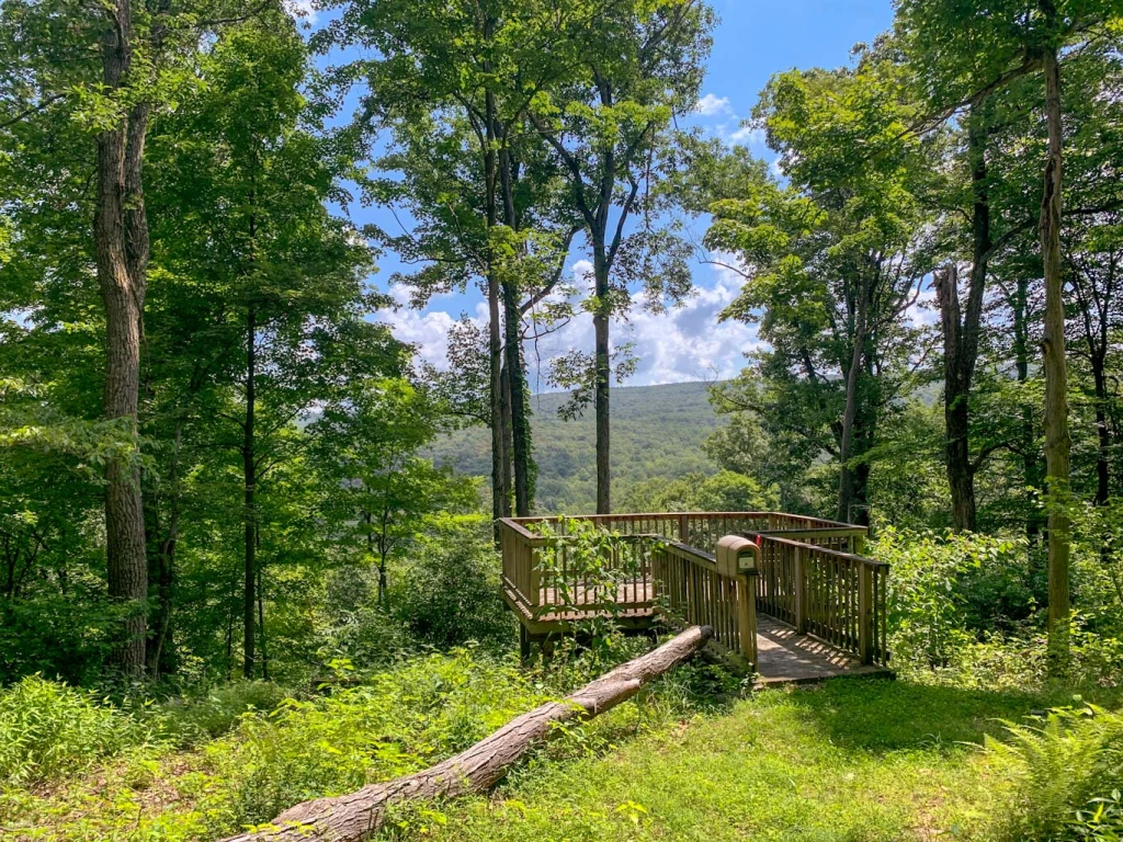 powdermill nature reserve observation platform