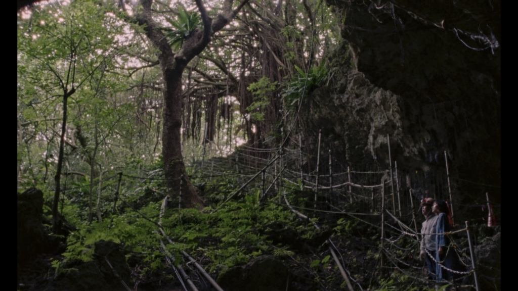 pepole at an outside nature preserver in japan