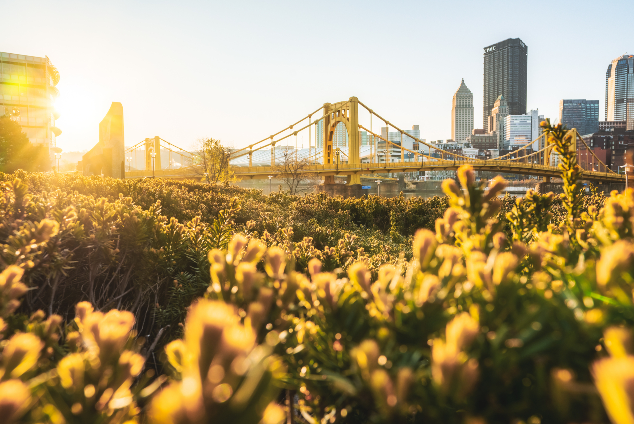 flowers and bridge