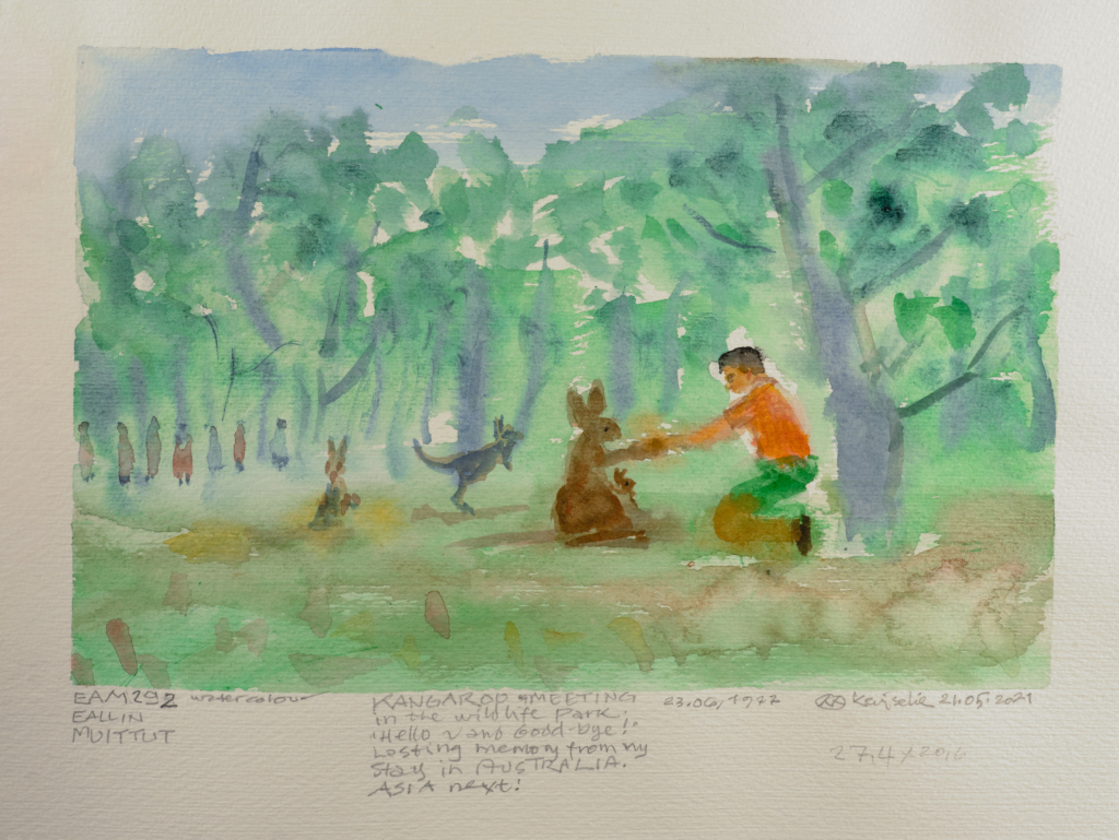 person giving food to a kangaroo watercolor