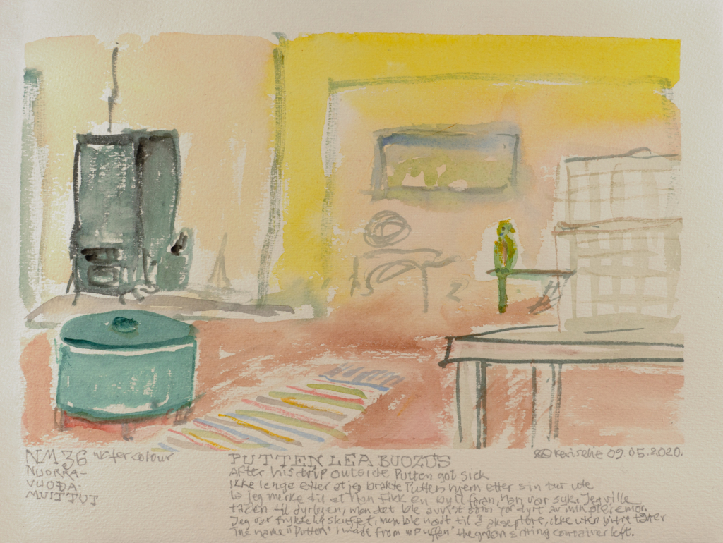 bird out of its cage watercolor