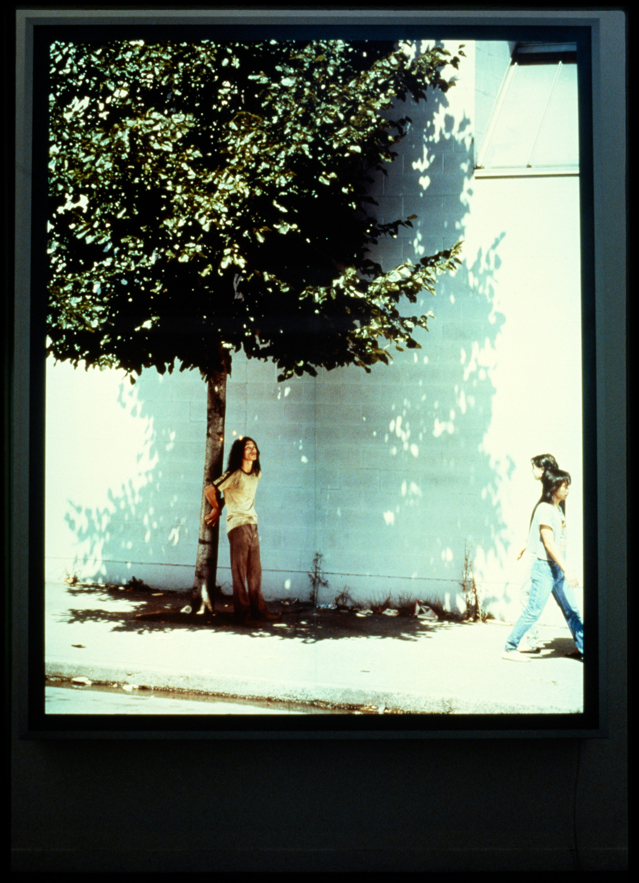 Installation view of Forum 1: Jeff Wall, Carnegie Museum of Art,