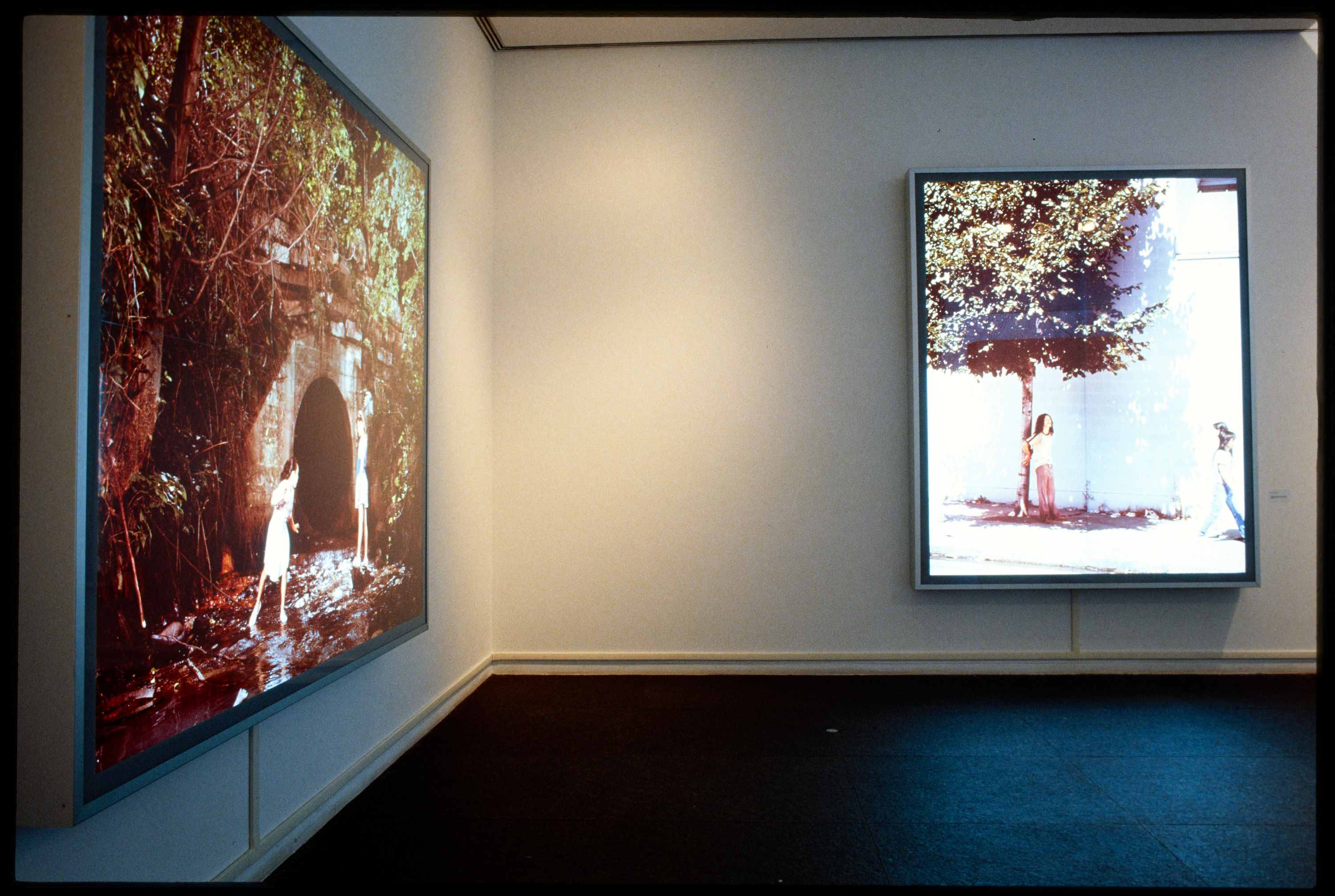 Installation view of Forum 1: Jeff Wall, Carnegie Museum of Art,