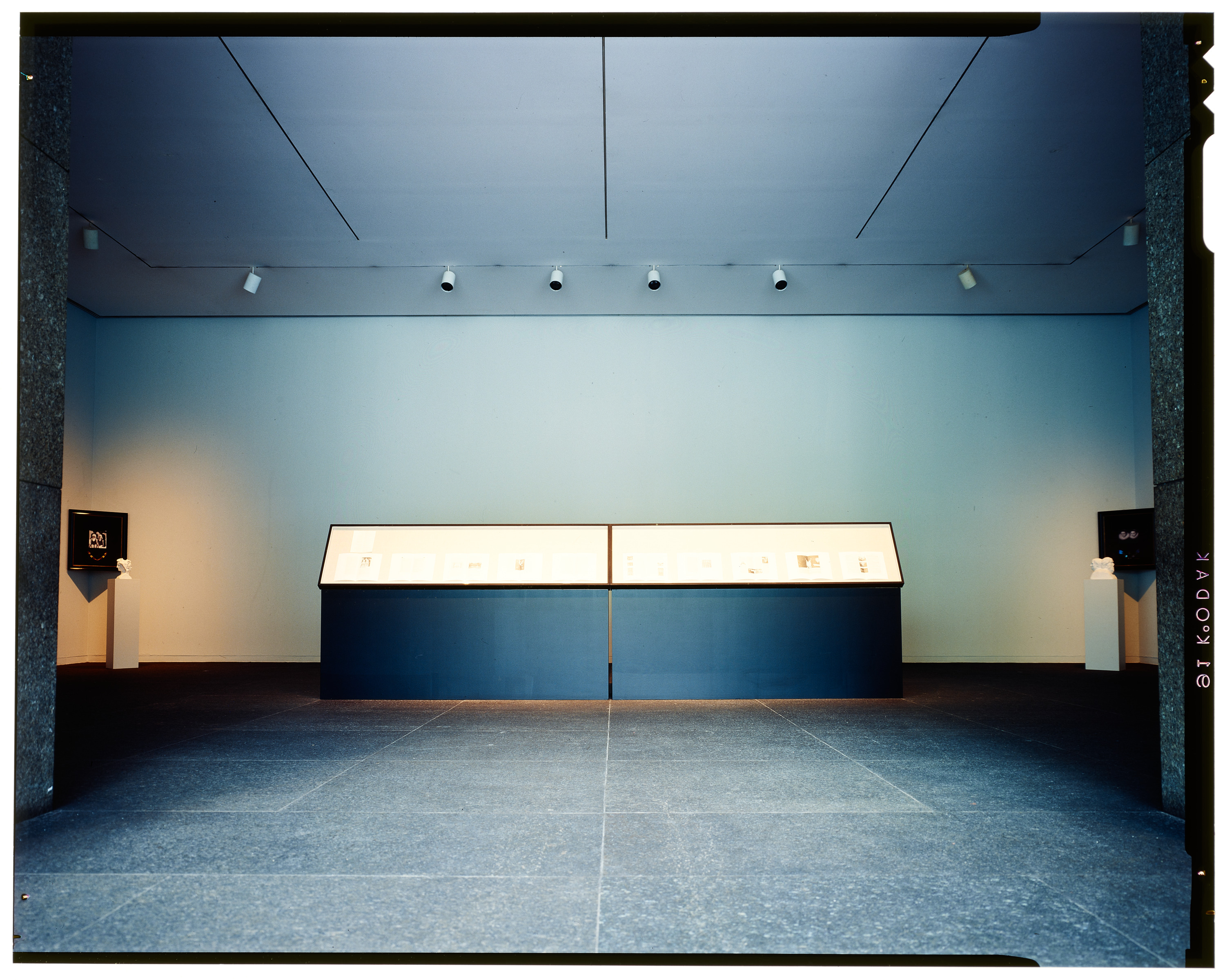Installation view of Forum 8: Barbara Bloom (May 16,1992–July 19, 1992), Carnegie Museum of Art
