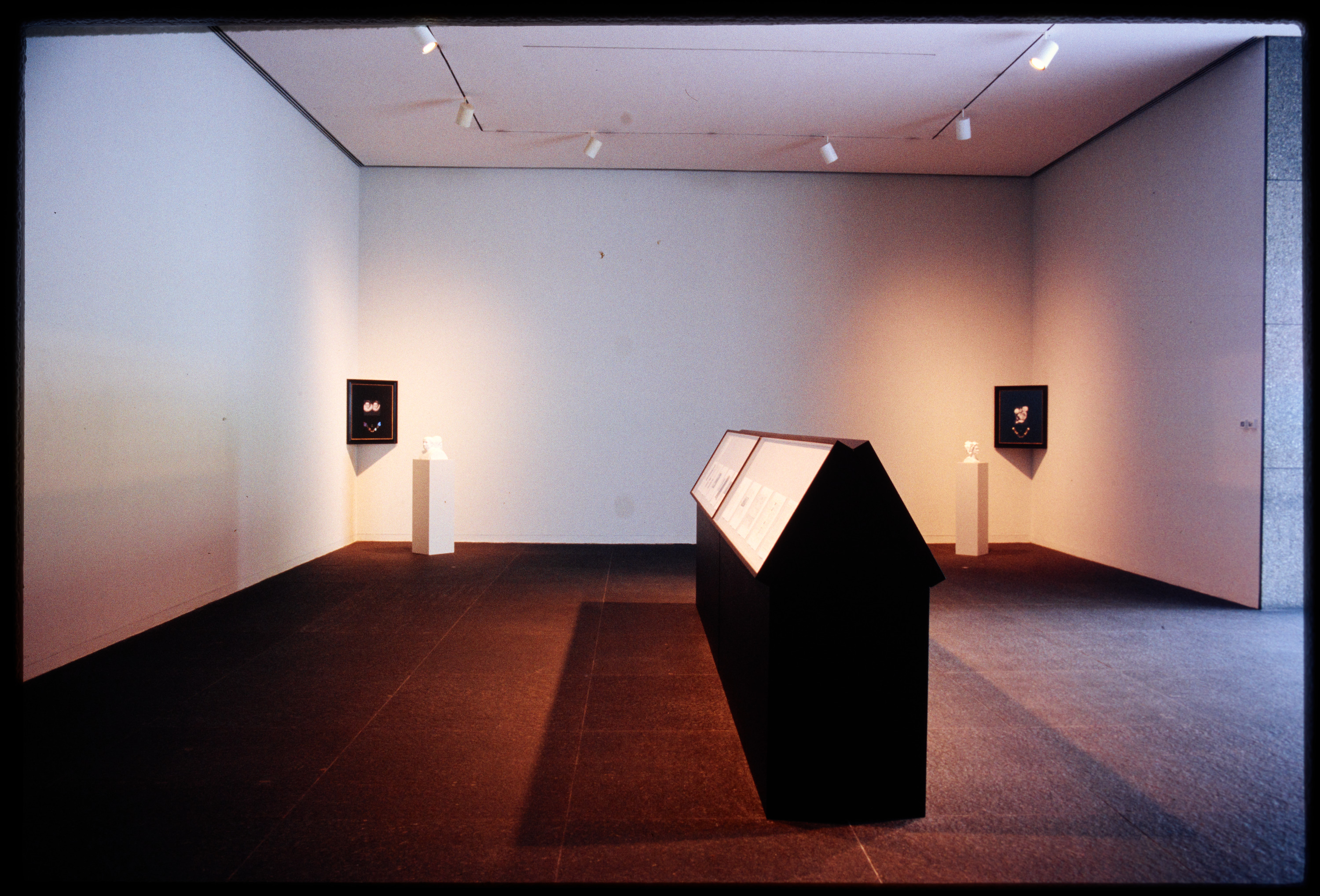 Installation view of Forum 8: Barbara Bloom (May 16,1992–July 19, 1992), Carnegie Museum of Art