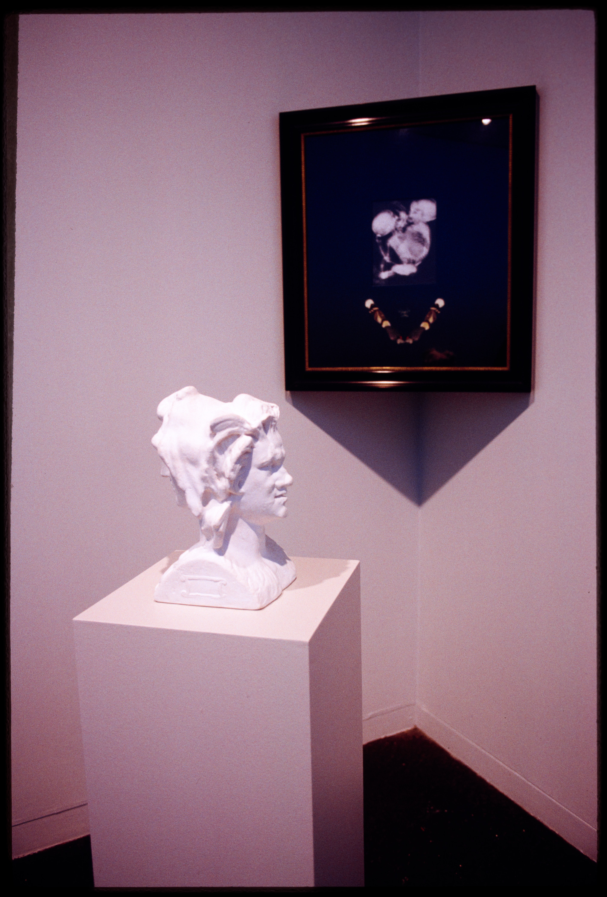 Installation view of Forum 8: Barbara Bloom (May 16,1992–July 19, 1992), Carnegie Museum of Art