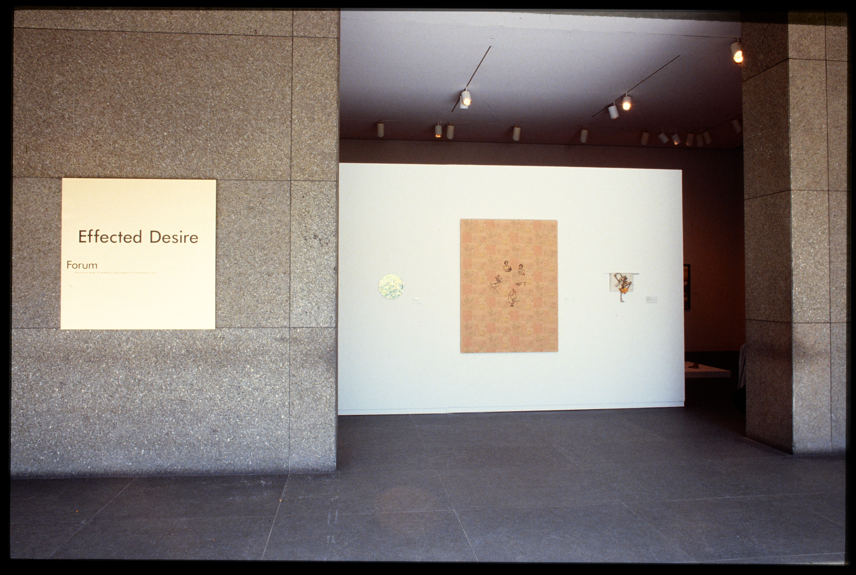 effected desire installation view in forum gallery