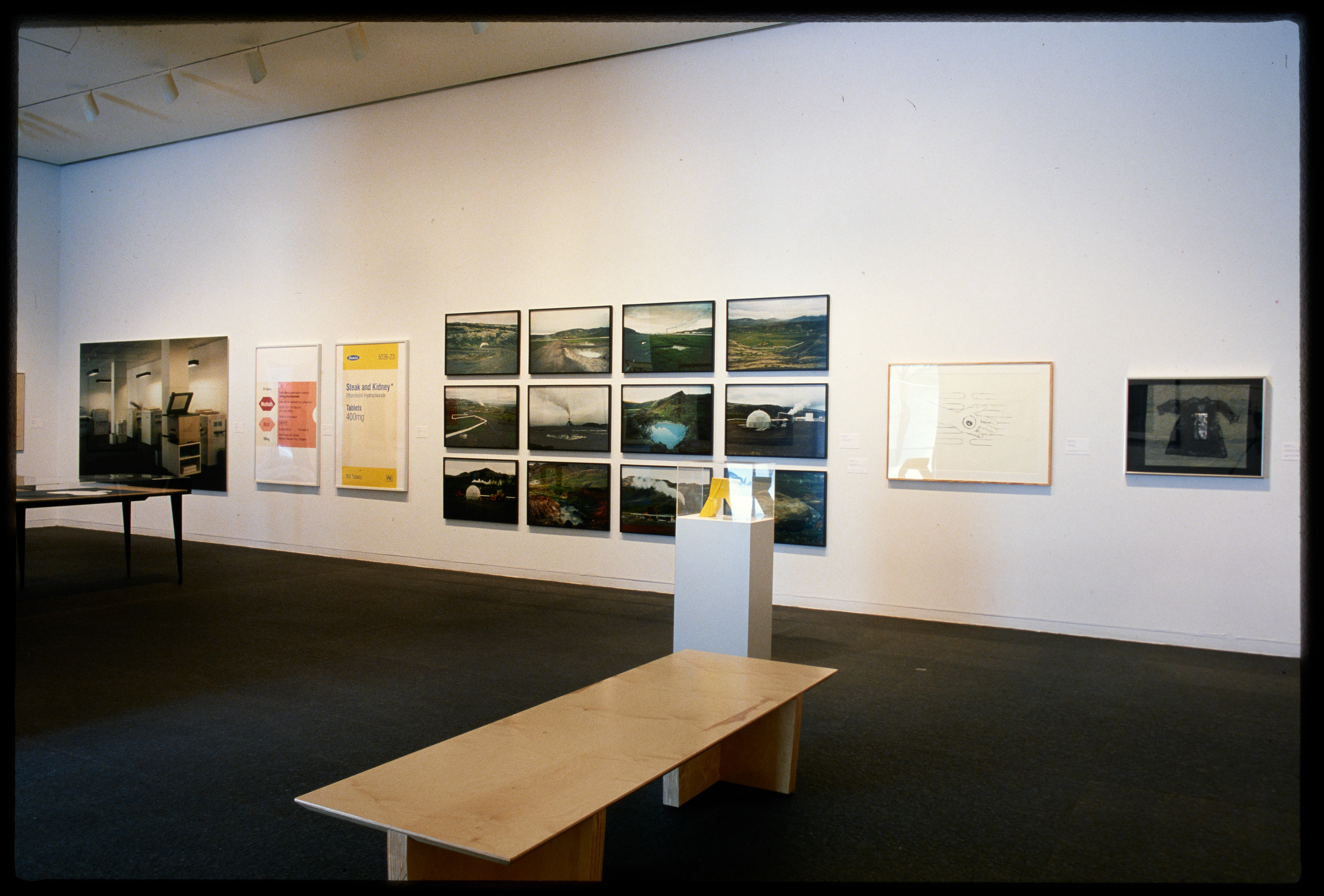 Installation view of Forum 45: On Paper II, Carnegie Museum of Art, Pittsburgh (February 10–May 6, 2001); photo: Carnegie Museum of Art, Pittsburgh