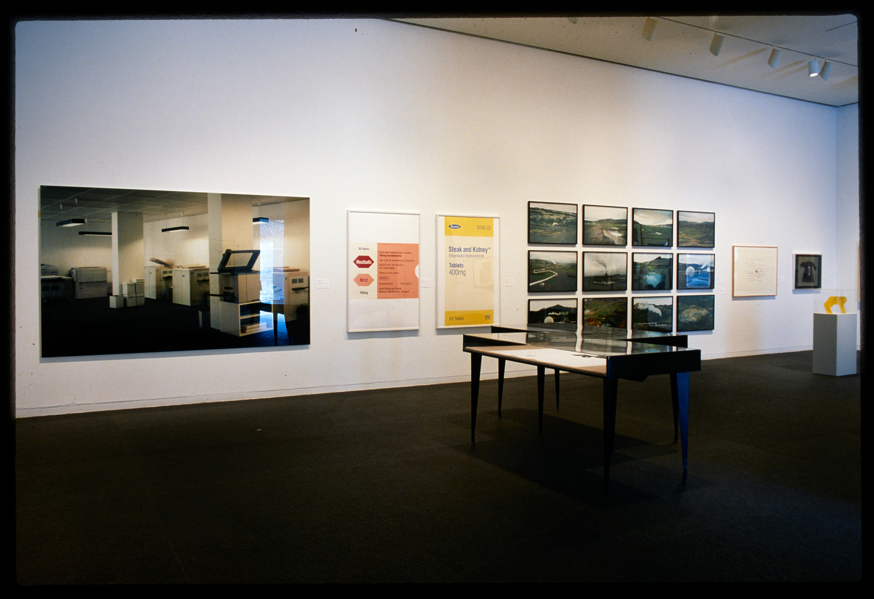 Installation view of Forum 45: On Paper II, Carnegie Museum of Art, Pittsburgh (February 10–May 6, 2001); photo: Carnegie Museum of Art, Pittsburgh