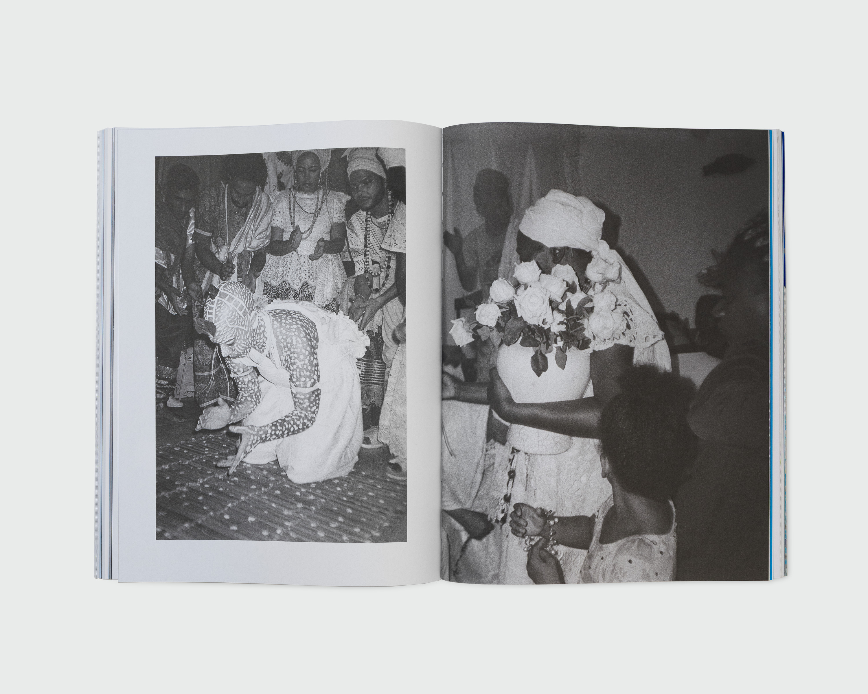 publication spread