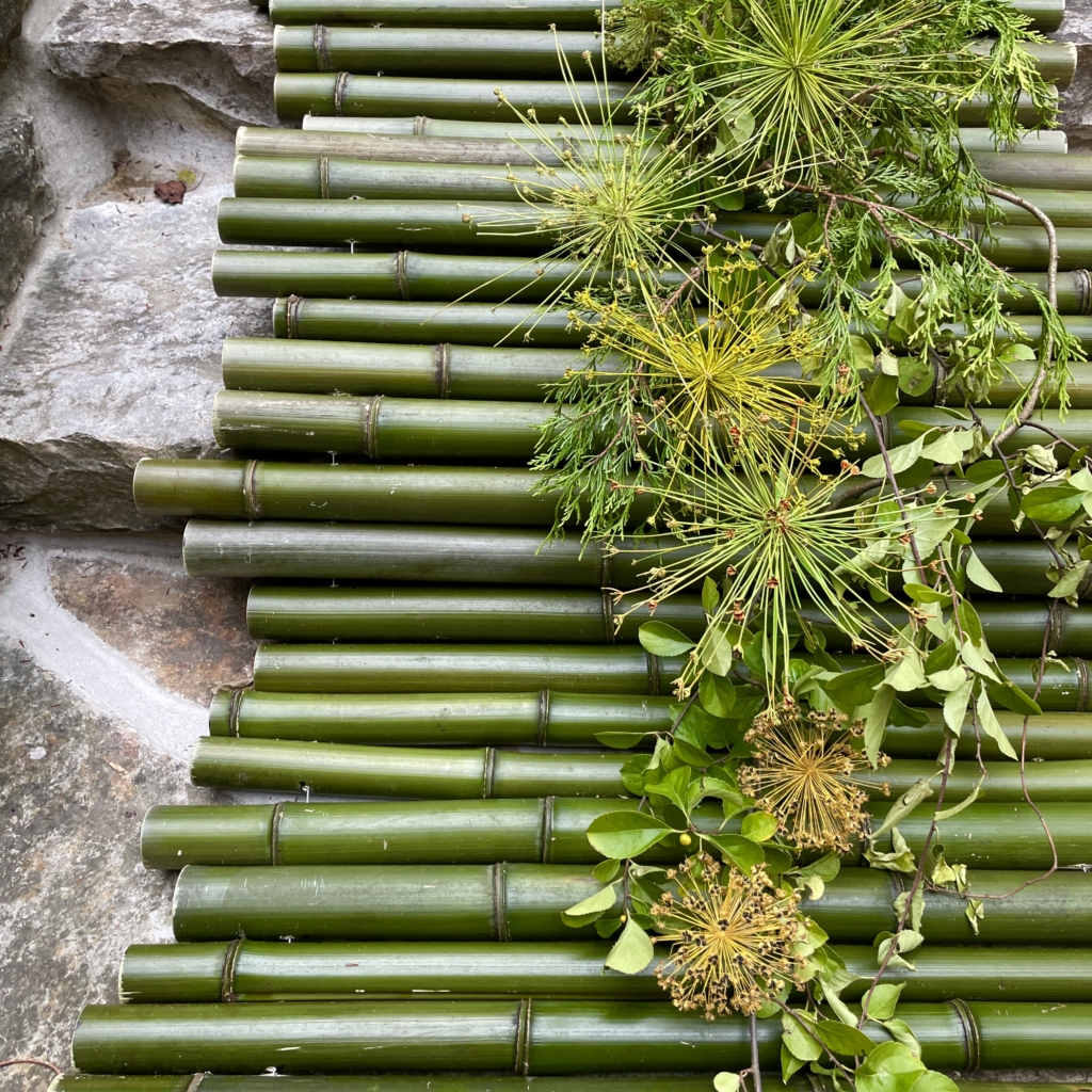 Bamboo