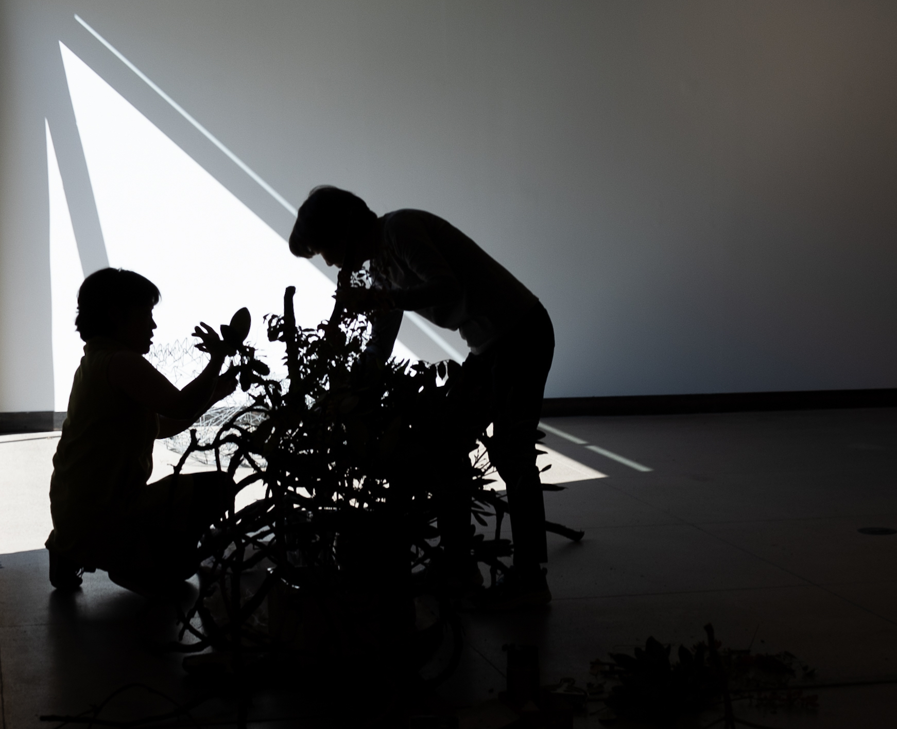 people installing a ikebana installation